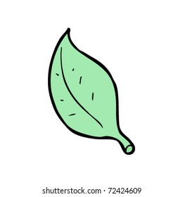 leaf cartoon leaf cartoon