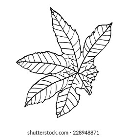 leaf of castor, vector sketch illustration