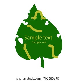 Leaf and caterpillars. Caterpillars on green leaf, vector illustration