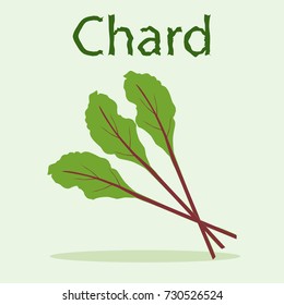 Leaf of chard at the light green background for detox menu. Hand drawn word Chard