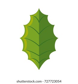 leaf christmas decoration icon