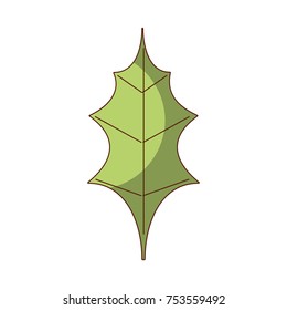 leaf christmas decoration nature element icon vector illustration