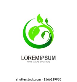 Leaf circle logo, Nature logo design, life in circle shape logo vector