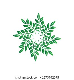 Leaf circle, plants vector isolated on white, EPS 10.