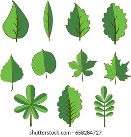 Leaf Clip Art