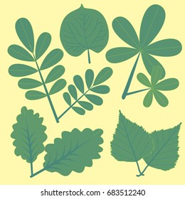 Leaf Clip Art
