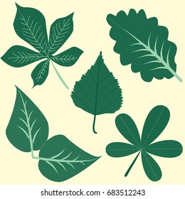Leaf Clip Art