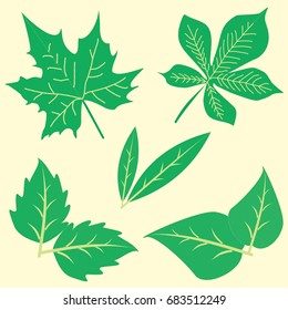 Leaf Clip Art