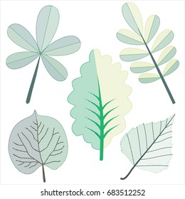 Leaf Clip Art