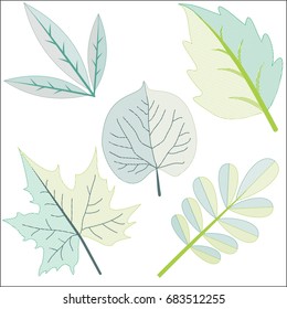 Leaf Clip Art