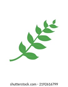 Leaf Clip Art isolated on a white background