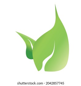 diseño vectorial de imágenes prediseñadas