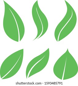 leaf clipart for design purpose, leaf in single green color and combination with gradient. Can be use for logo and other materials