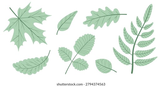 Leaf Clipart Set with Maple Oak Fern and Birch Green Foliage Isolated on White