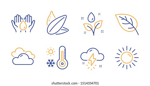 Leaf, Cloudy weather and Sunflower seed line icons set. Thunderstorm weather, Safe water and Plants watering signs. Sun symbol. Environmental, Sky climate. Nature set. Line leaf icon. Vector
