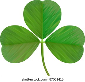 leaf clover