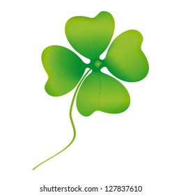 Leaf clover isolated on white