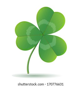 Leaf clover isolated on white.