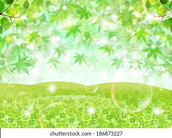 Leaf clover landscape