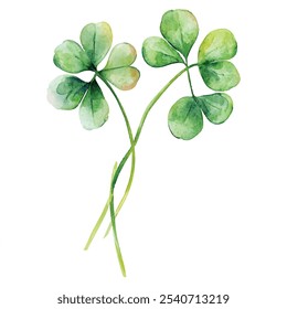 Leaf Clover watercolor clipart illustration