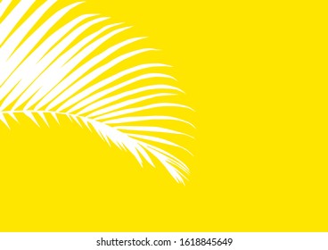 Leaf Coconut isolated on yellow background.