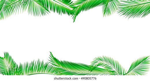 Leaf Of Coconut Tree Isolated On White Background. Vector Illustration.