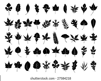 32,108 Black And White Leave Images, Stock Photos & Vectors | Shutterstock