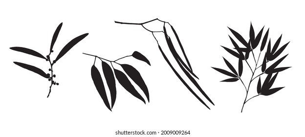 Leaf Collection. Bamboo Leaves. Set of Tree Branches, Herbs and Flowers Flat. Black and White Plants. Vector Silhouette. Garden Leaves.