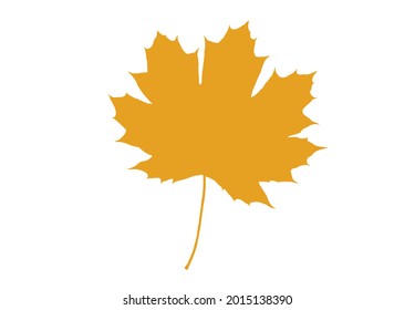 Leaf-Kollektion. Kanadisches Symbol. Ahornleaf-Set. Herbststimmung. Schwarze und weiße Kräuter und Pflanzen. Vektorsilhouette. Gartenblätter. Bleiform.