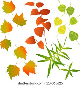 Leaf, collection for designers