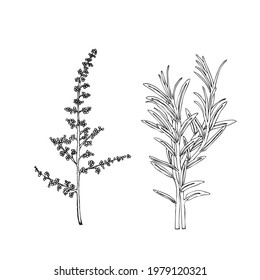 Leaf collection in hand drawing style.
