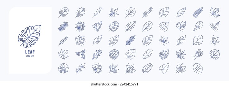 Leaf collection illustration icon set