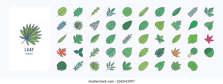 Leaf collection illustration icon set