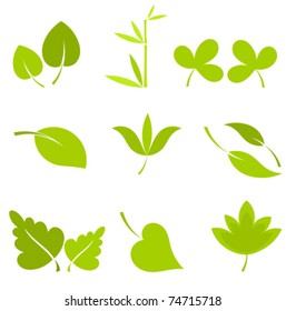 Leaf collection isolated - vector illustration