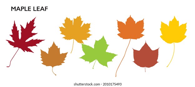 Leaf Collection. Maple Leaf Set. Autumn Mood. Tree Branches, Herbs and Flowers Flat Collection. Colored Plants. Vector Silhouette. Garden Leaves.