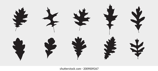 Leaf Collection. Oak Set. Tree Branches, Herbs and Flowers Flat. Black and White Plants. Vector Silhouette. Garden Leaves.