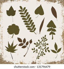 Leaf collection on a vintage grunge background