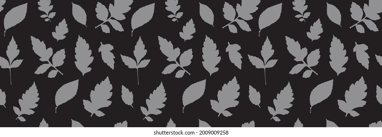 Leaf Collection. Set of Tree Branches, Herbs and Flowers Flat. Black and White Plants. Vector Silhouette. Garden Leaves.
