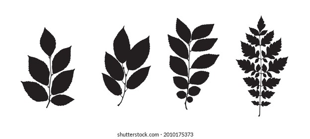 Leaf Collection. Set of Tree Branches, Herbs Flat Illustration. Black and White Plants. Vector Silhouette. Garden Leaves. Black Hand Drawn Illustration.