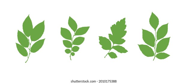 Leaf Collection. Set of Tree Branches, Herbs and Flowers Flat. Green Plants. Vector Silhouette. Garden Leaves.