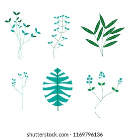 leaf collection vector
