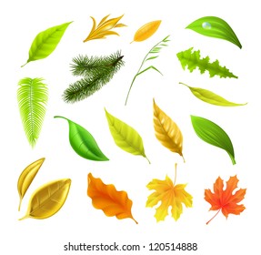 Leaf collection, vector
