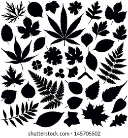 Leaf collection - vector silhouette 