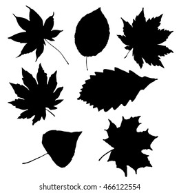 Leaf collection - vector silhouette