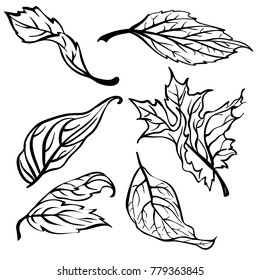 Leaf collection - vector silhouette