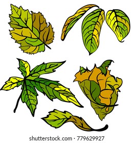 Leaf collection - vector silhouette