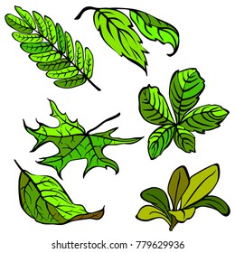 Leaf collection - vector silhouette