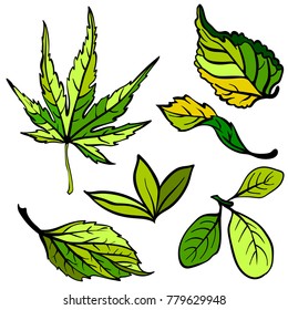 Leaf collection - vector silhouette