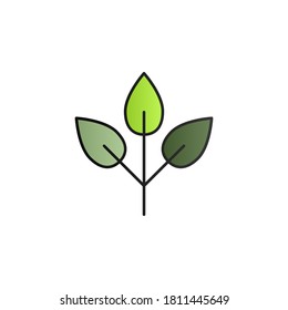 Leaf color gradient vector icon