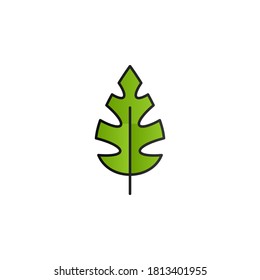 Leaf color gradient vector icon